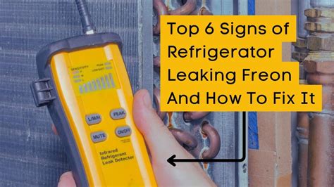 is freon leak in fridge dangerous|Five Signs Your Refrigerator Is Leaking Freon: A。